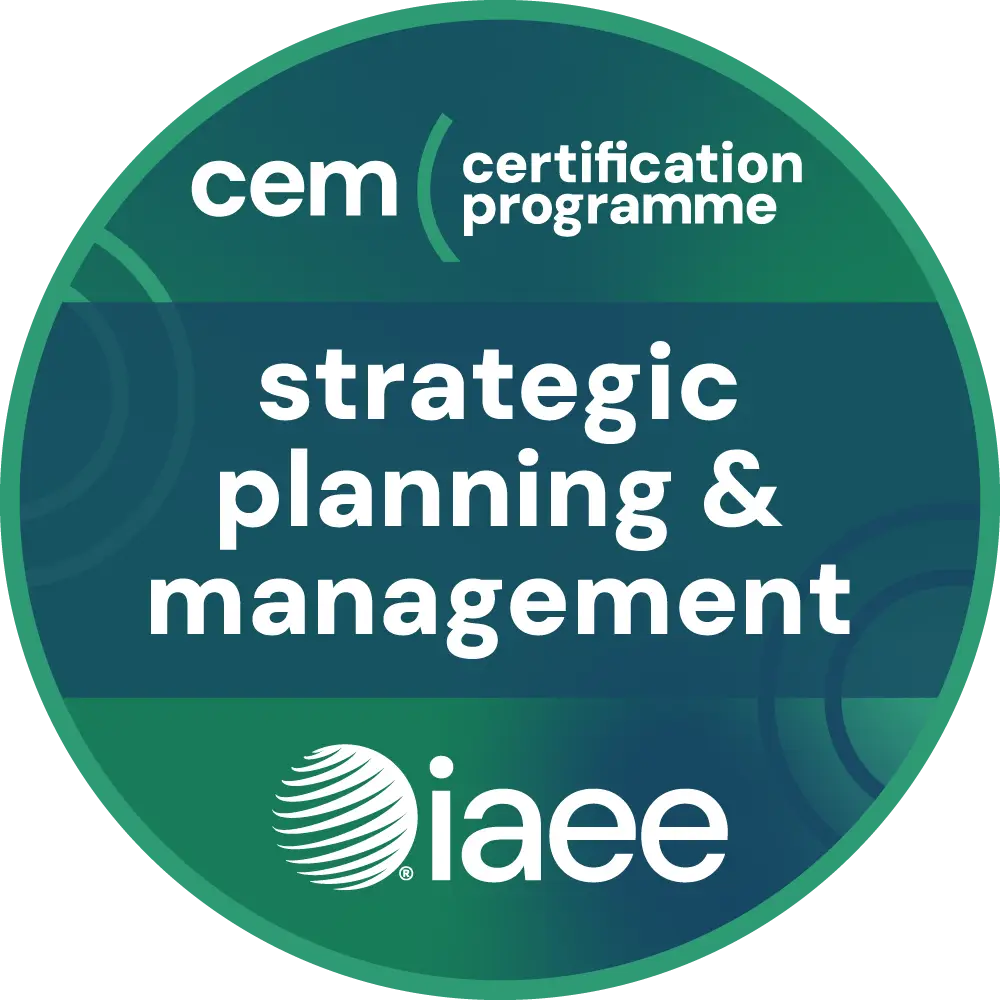 CEM：战略规划与管理