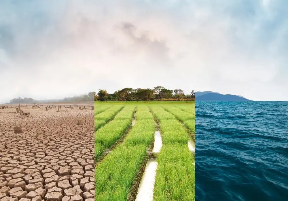 image split in three scenes depicting cracked earth on the left, irrigated green grass in the middle, ocean on the right